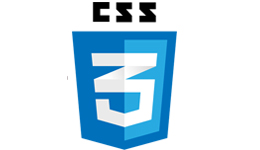 css3